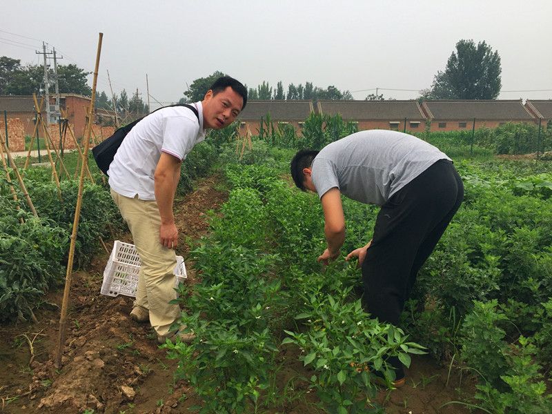 好利來郭總喊您來摘菜啦！綠色無公害，放心！